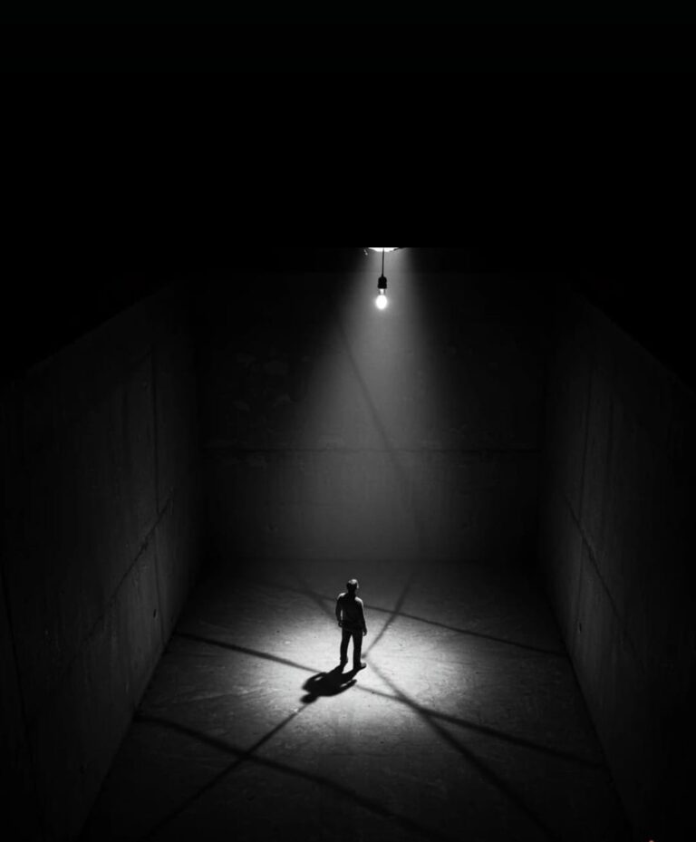 Curso online «Shadow Works (Interpretación de la Sombra)» – 60 h